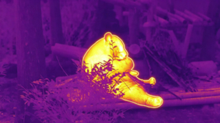 팬더는 대나무를 먹는다 #ThermaImage #InfraredPanda #Episode1