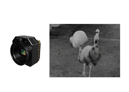 여러 렌즈를 가진 냉각되지 않은 적외선 열 보안 카메라 모듈