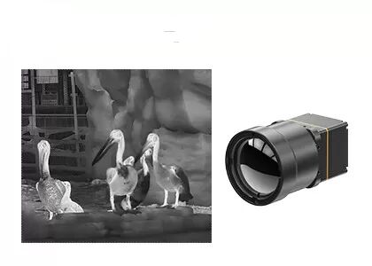 LWIR Infrared Thermal Module 640x512 25Hz/30Hz for UAV Payloads